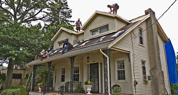 Best Storm Damage Roof Repair  in White Pine, TN