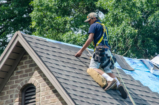 Best Roof Gutter Cleaning  in White Pine, TN