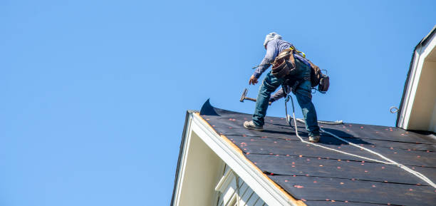 Professional Roofing Contractor in White Pine, TN